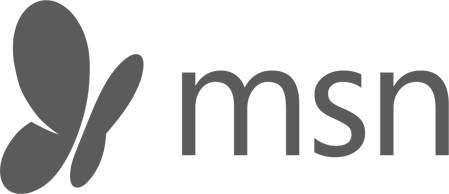 MSN Logo Grey
