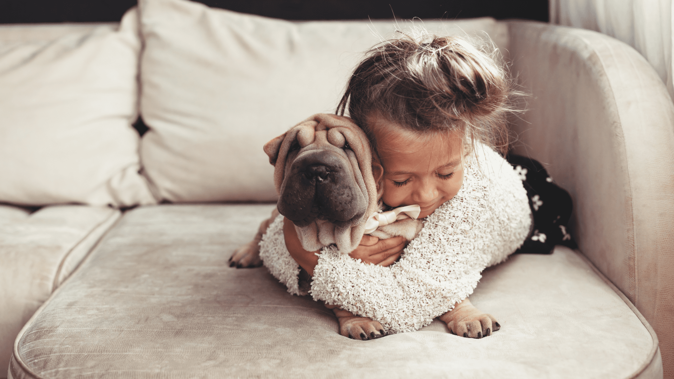 Young child cuddling her dog on a sunlit living room couch, bathed in warm afternoon light.